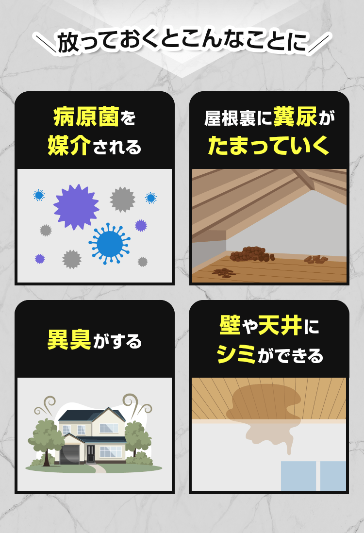 放っておくとこんなことに!