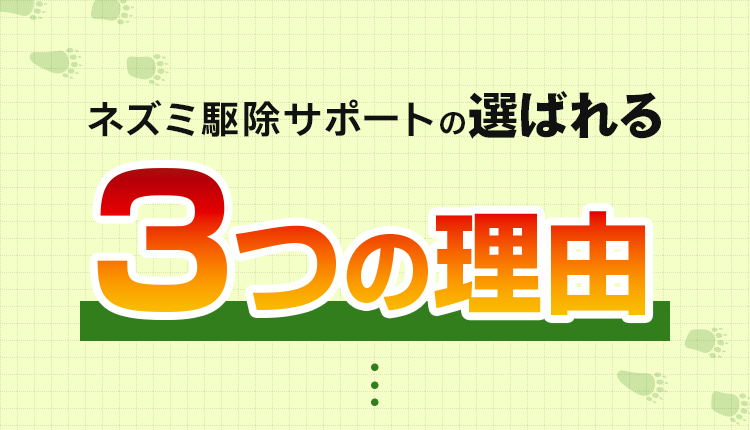 選ばれる3つの理由